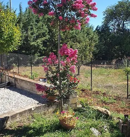 بيت للعطل Leone *