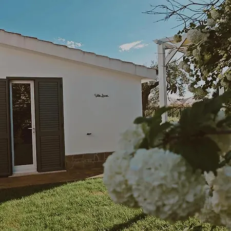 Leone * بيستيشي