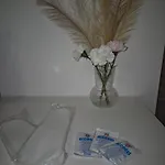 Leone בית נופש