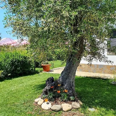 Holiday home Leone *