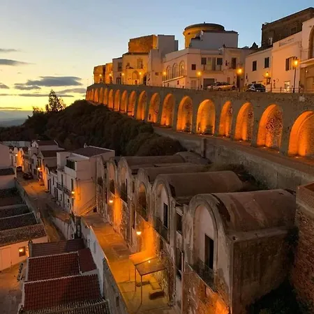 Leone * פיסטיצ'י