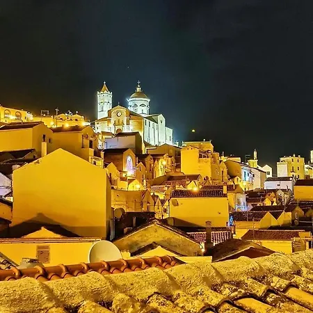 Leone * פיסטיצ'י