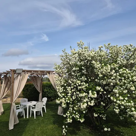 Leone Hébergement de vacances *