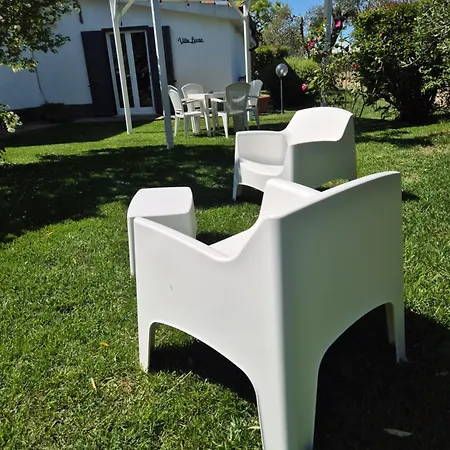 Leone פיסטיצ'י