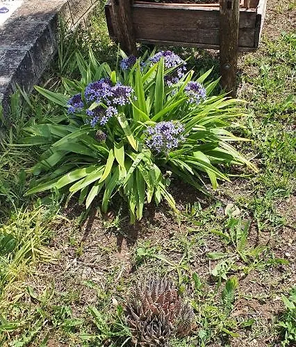 Hébergement de vacances Leone