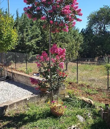 Hébergement de vacances Leone *